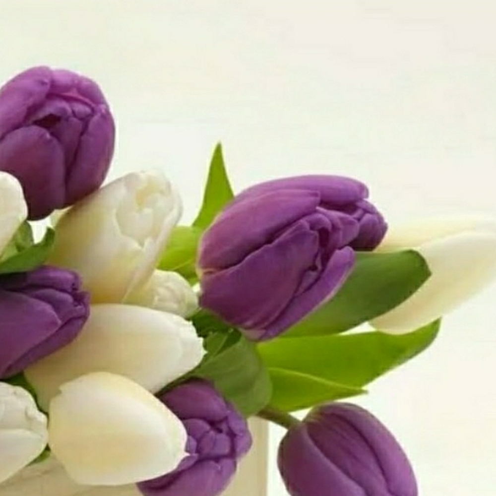 If You Would Like To Make A Purchase From My Closet Please Message Me!!